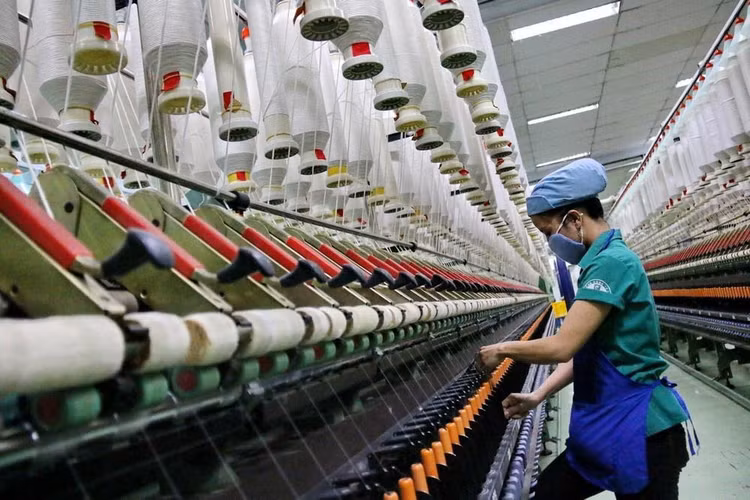 Những mặt hàng được hưởng lợi từ RCEP gồm dệt may, công nghiệp nhẹ, rau quả. Ảnh chỉ mang tính minh họa. Nguồn Internet