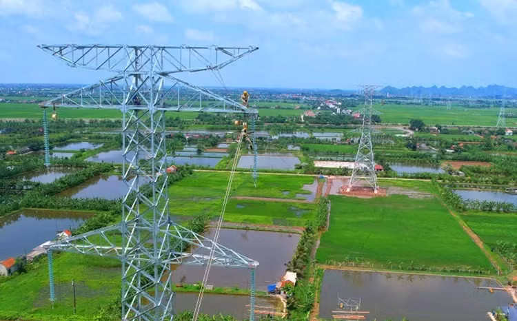 Ảnh chỉ mang tính minh họa. Nguồn Internet