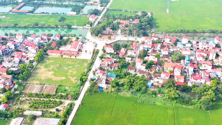 Ảnh chỉ mang tính minh họa. Nguồn Internet