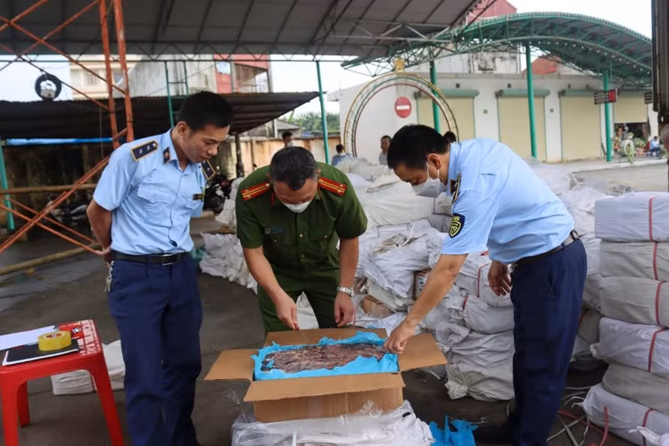 Thủ tướng Chính phủ chỉ đạo mở đợt cao điểm đấu tranh ngăn chặn, đẩy lùi tình trạng buôn lậu, gian lận thương mại, hàng giả, xâm phạm quyền sở hữu trí tuệ