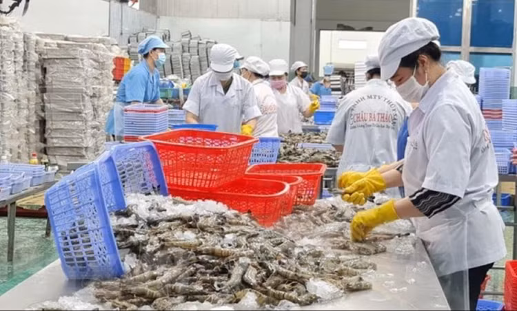 6 tháng đầu năm 2025, xuất khẩu nông lâm thủy sản ước tăng trên 14%. Ảnh minh họa