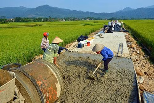 Ảnh chỉ mang tính minh họa. Nguồn Internet
