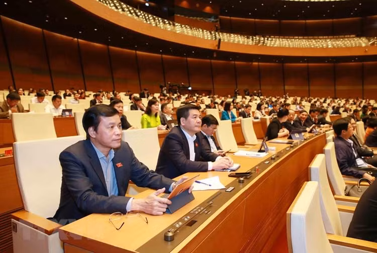 Đoàn đại biểu Quốc hội tỉnh Thái Bình tại kỳ họp. Ảnh: TTXVN