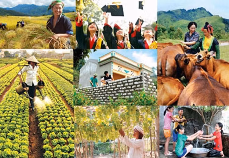 Thủ tướng yêu cầu UBND các tỉnh, thành phố khẩn trương phân bổ, giao dự toán ngân sách và kế hoạch đầu tư công đến các cơ quan, đơn vị, dự án đủ điều kiện theo đúng quy định.