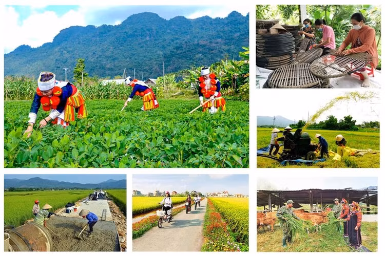 Bảo đảm đầy đủ cơ sở pháp lý để tổ chức thực hiện các Chương trình mục tiêu quốc gia