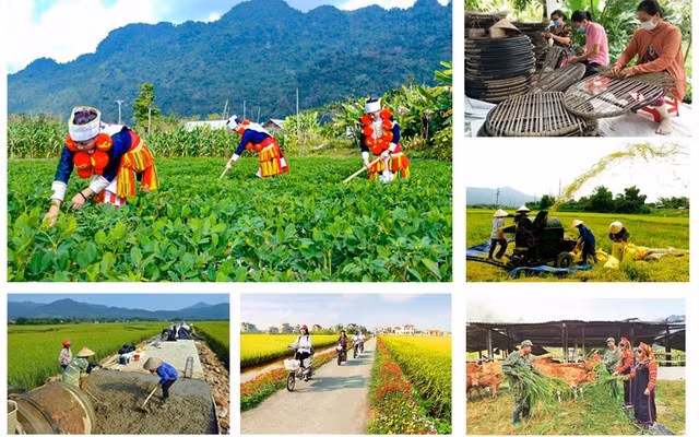 Chính phủ yêu cầu các bộ, ngành và địa phương căn cứ kế hoạch vốn được giao để lập, phê duyệt và phân bổ kế hoạch đầu tư công trung hạn cho từng chương trình theo đúng quy định