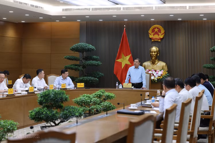 Phó Thủ tướng Thường trực Phạm Gia Túc kết luận cuộc họp, nhấn mạnh việc triển khai Dự án điện hạt nhân Ninh Thuận 1 và Ninh Thuận 2 là chủ trương lớn của Đảng và Nhà nước - Ảnh: VGP/Phương Nguyên