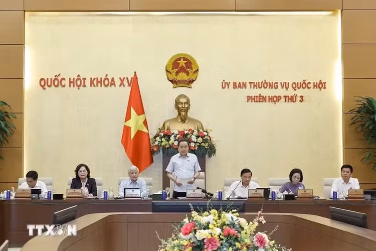 Chủ tịch Quốc hội Trần Thanh Mẫn phát biểu khai mạc Phiên họp. (Ảnh: Doãn Tấn/TTXVN)