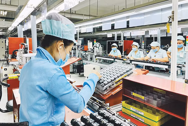 Ảnh minh họa: Internet