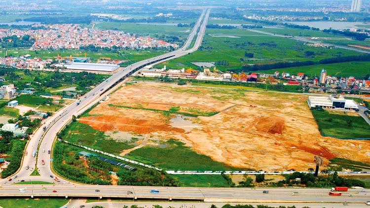 Dự thảo Luật Đất đai (sửa đổi) đưa ra tiêu chí dự án có quy mô diện tích từ 100 ha trở lên mới đủ điều kiện đấu thầu dự án sử dụng đất. Ảnh: Tiến Tân