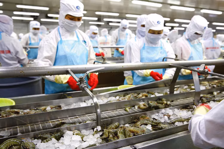 Tháng 11/2022, lần đầu tiên kể từ đầu năm, tăng trưởng xuất khẩu thủy sản rơi xuống mức âm (giảm trên 14%) so với cùng kỳ năm ngoái. Ảnh minh họa: Lê Tiên