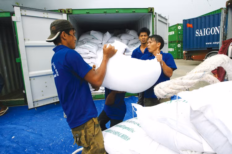 Giá thị trường chênh lệch lớn so với giá trúng thầu cung cấp gạo dự trữ quốc gia khiến nhiều nhà thầu lo lắng. Ảnh: Song Lê