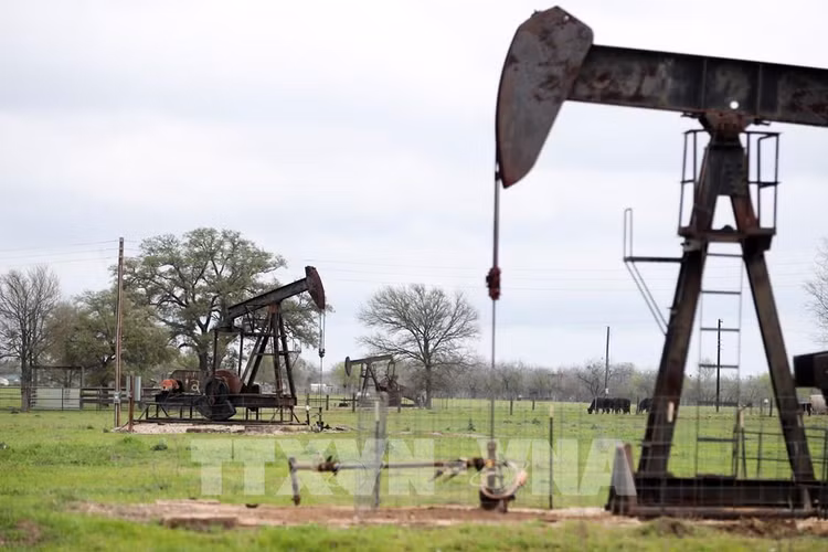 Một trạm bơm dầu ở Luling, bang Texas, Mỹ. Ảnh: THX/TTXVN