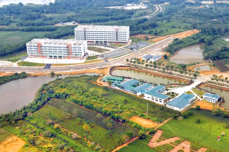 Đến hết năm 2024, Bộ Giao thông vận tải phấn đấu giải ngân vốn nước ngoài khoảng 3.950 tỷ đồng, đạt trên 95% kế hoạch được giao. Ảnh: Hà Phong