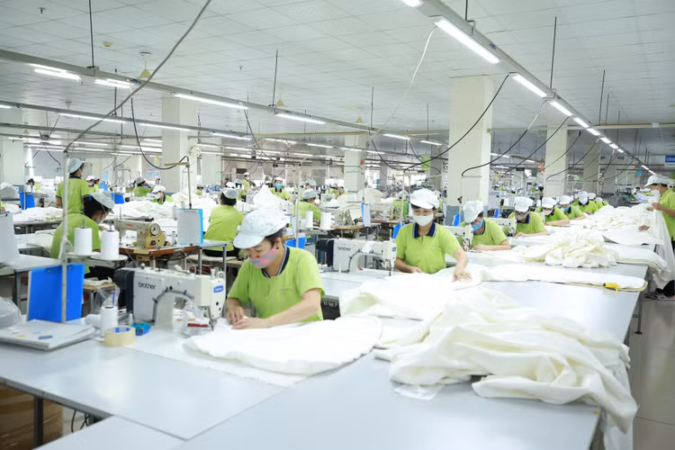 Tính từ đầu năm đến ngày 15/11, kim ngạch xuất khẩu hàng hóa của Việt Nam ước đạt 370 tỷ USD, tăng 15% so với cùng kỳ năm 2023. Ảnh: Lê Tiên