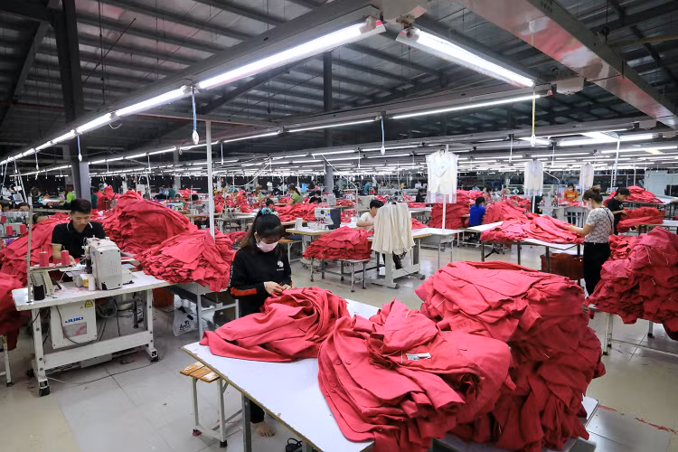 Trong tháng 1/2024, cả nước có hơn 27.335 doanh nghiệp thành lập mới và quay trở lại hoạt động, 53.888 doanh nghiệp rút lui khỏi thị trường. Ảnh: Tiên Giang