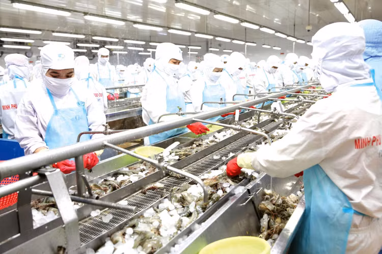 GDP trở lại mức tăng 5,22% trong quý IV/2021 cho thấy sức bật mạnh mẽ của hoạt động sản xuất kinh doanh. Ảnh: Lê Tiên