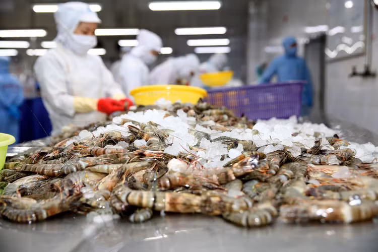 Giá vốn của mảng thủy sản tăng đột biến trong năm 2020 là một trong những nguyên nhân khiến Công ty CP Thủy sản số 4 thua lỗ. Ảnh: Nhã Chi
