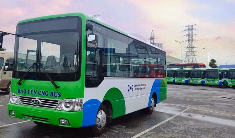 Công ty TNHH Du lịch Dịch vụ xây dựng Bảo Yến hoạt động chính trong lĩnh vực giao thông vận tải. Ảnh: Thái Dương