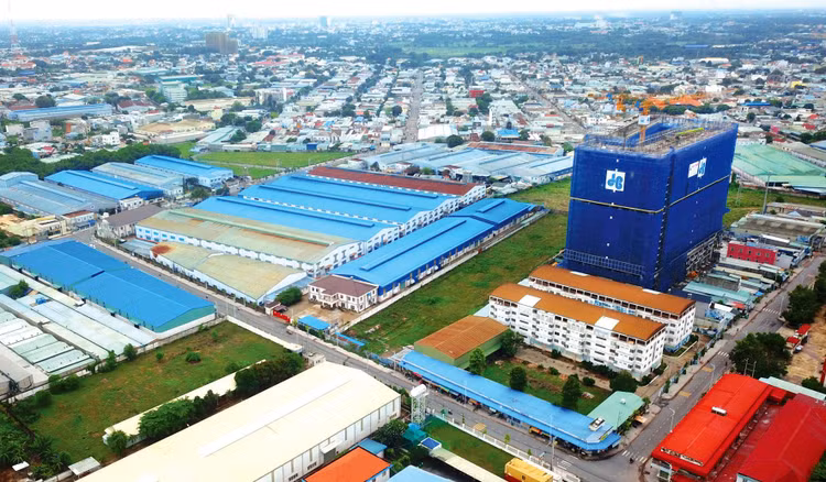 Nhiều năm qua, đa số dự án đầu tư có sử dụng đất được đưa ra đấu thầu lựa chọn nhà đầu tư có quy mô dưới 50 ha, trong đó chủ yếu là dưới 20 ha, gần như không có dự án trên 100 ha. Ảnh: Nhã Chi