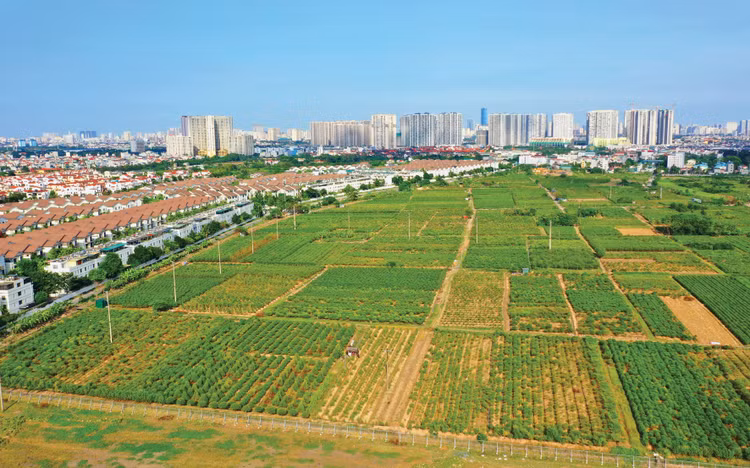 Sau khi danh mục khu đất thực hiện đấu thầu được công bố, một số dự án quy mô lớn đã công bố danh mục, chuẩn bị các bước lựa chọn nhà đầu tư. Ảnh minh họa: Lê Tiên