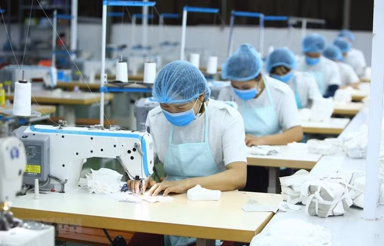 Nhiều doanh nghiệp trong ngành dệt may đã và đang làm gắn với 2 câu chuyện: nhà máy xanh và sản phẩm xanh Ảnh chỉ mang tính minh họa: Internet