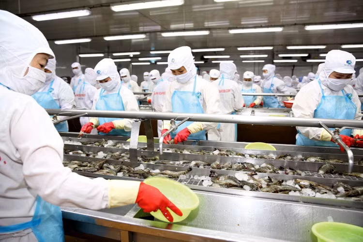 Trong quý I/2021, xuất khẩu hàng hóa của Việt Nam sang EU tăng 18% so với cùng kỳ năm 2020, đạt 9,932 tỷ USD. Ảnh: Tiên Giang