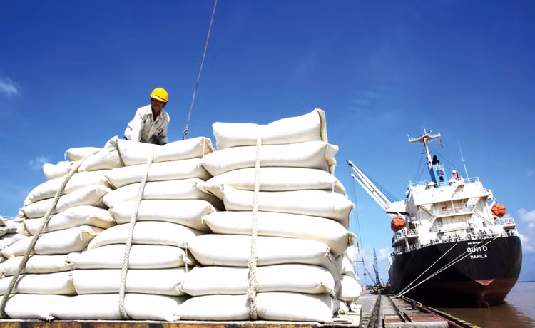 Doanh thu quý I/2023 của Vinafood II tăng 65,3% so với cùng kỳ 2022, đạt 4.169 tỷ đồng, nhưng lợi nhuận trước thuế chỉ xấp xỉ 5 tỷ đồng, tương đương quý I/2022. Ảnh: Phan Trang