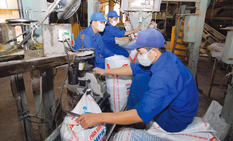 Xuất khẩu sụt giảm ảnh hưởng đến kết quả kinh doanh của doanh nghiệp phân bón. Ảnh: Hồng Kỳ