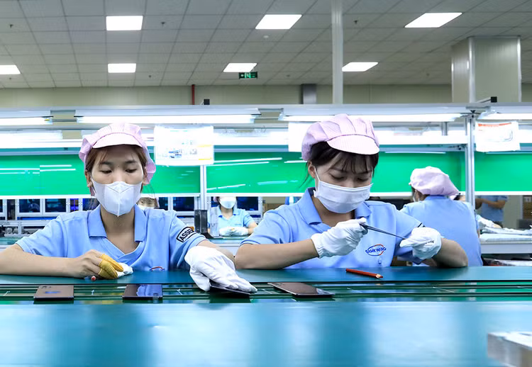 Tính từ đầu năm đến ngày 15/10/2024, cả nước xuất siêu 21,3 tỷ USD. Ảnh: Tiên Giang
