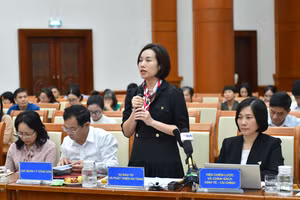 Bà Nguyễn Thị Quế Hương, Phó Vụ trưởng Vụ Đầu tư và phát triển hạ tầng
