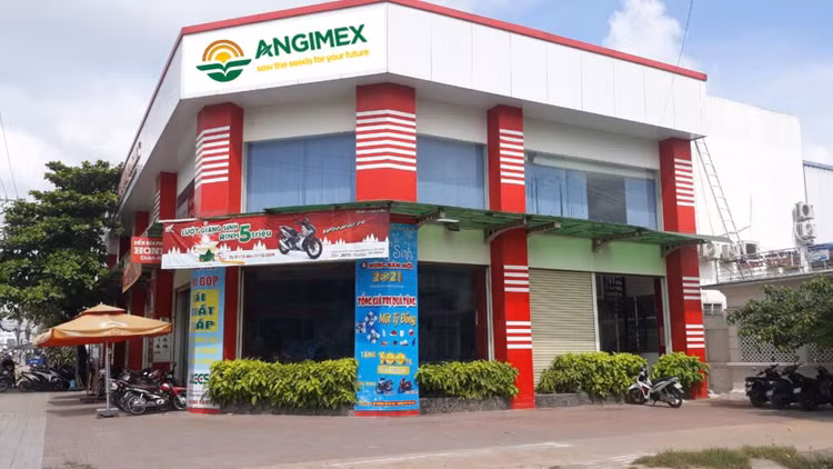 Đấu giá quyền sử dụng đất và công trình máy móc thiết bị của Công ty Xuất nhập khẩu An Giang. Ảnh minh họa: Internet