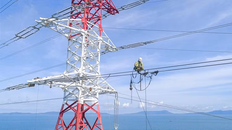 Điện lực Lâm Đồng chấm dứt hợp đồng với Công ty TNHH Thiết bị điện Đông Nam tại dự án 47,7 tỷ đồng