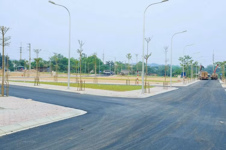 Đấu giá quyền sử dụng 51 thửa đất tại khu Đầm Tiểu Trên, xã Phú Nghĩa (Hà Nội). Ảnh minh họa: Internet