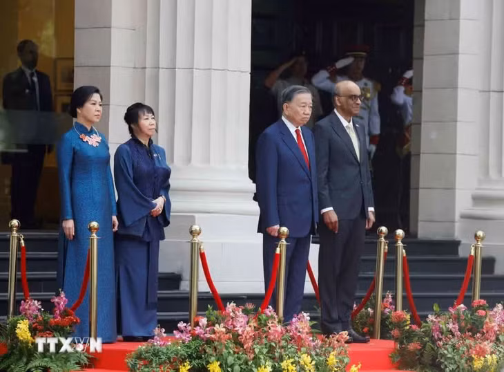 le-don-tong-bi-thu-chu-tich-nuoc-to-lam-va-phu-nhan-tham-cap-nha-nuoc-toi-singapore-2905-2.jpg