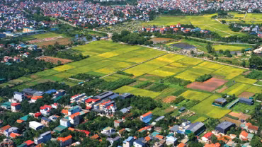 Một số địa phương gặp khó khăn, vướng mắc khi thực thi quy định về giao đất, cho thuê đất không thông qua đấu giá quyền sử dụng đất, đấu thầu lựa chọn nhà đầu tư thực hiện dự án có sử dụng đất. Ảnh: Chiến Khôi